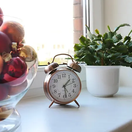 Apartamento Mit Blick Auf Zitadelle Petersberg - 3 Erfurt