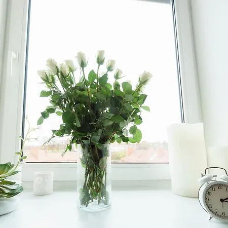 Apartamento Mit Blick Auf Zitadelle Petersberg - 3