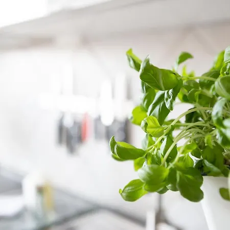 דירה Mit Blick Auf Zitadelle Petersberg - 3