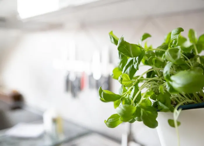 Daire Mit Blick Auf Zitadelle Petersberg - 3